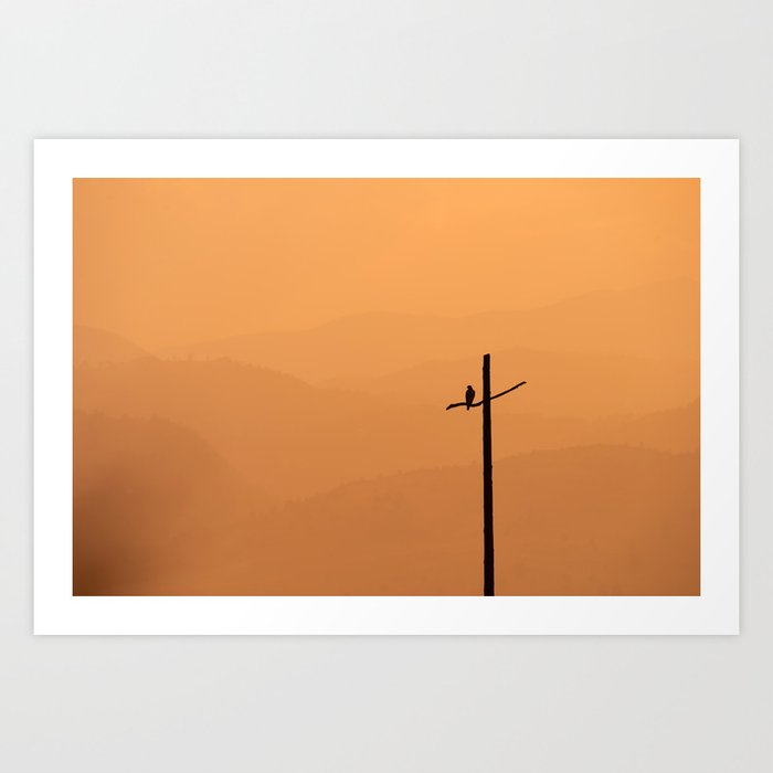 Hawk watching the sunset and the mountains Art Print