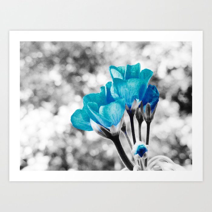 Turquoise FloWERS Pop of Color Art Print