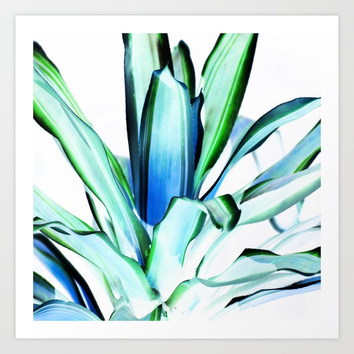 Elegant Plant Leaves Green Blue Art Print