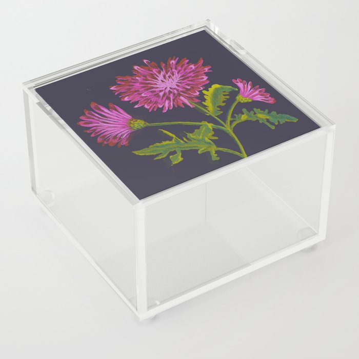 chrysanthemum illustration, vintage flower on dark background Acrylic Box