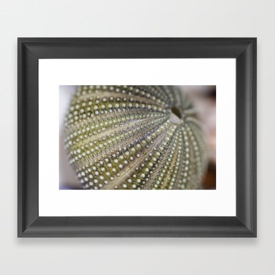 Urchin Texture Framed Art Print
