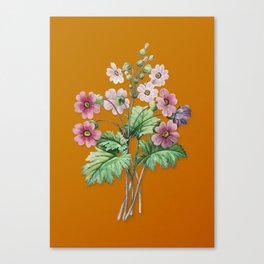 Vintage The Chinese Primrose Botanical Illustration on Bright Orange Canvas Print