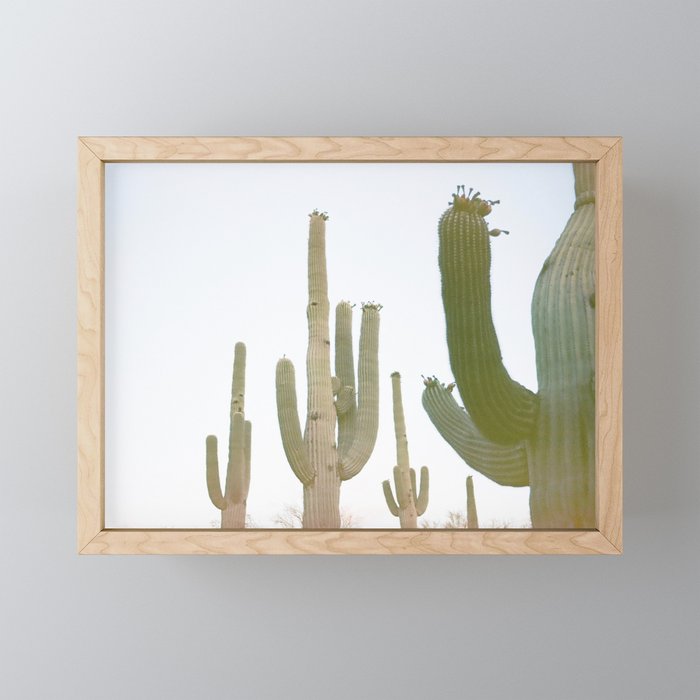 saguaro Framed Mini Art Print