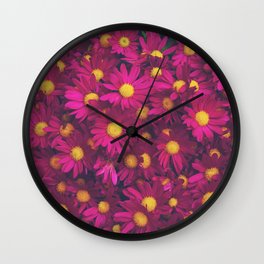 Purple painted daisies pattern | Early spring bloom | Pattern of Magenta Yellow daisies  Wall Clock