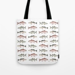Pattern: Inshore Slam ~ Redfish, Snook, Trout by Amber Marine ~ (Copyright 2013) Tote Bag