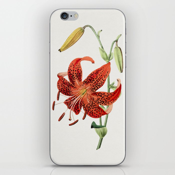 Tiger Lily iPhone Skin