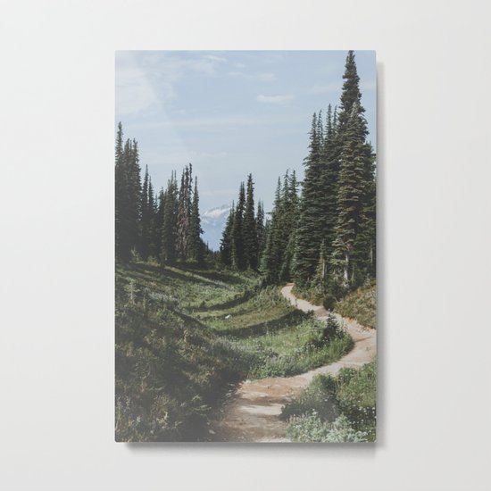 Mountain Trail Metal Print