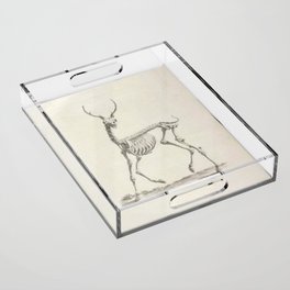 Deer Skeleton Acrylic Tray