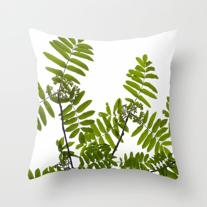 Green Rowan Leaves White Background #decor #society6 #buyart Throw Pillow