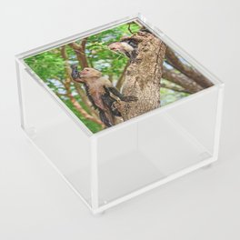 Drink If You are Thirsty Acrylic Box