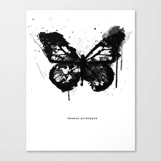 Black Monarch Canvas Print