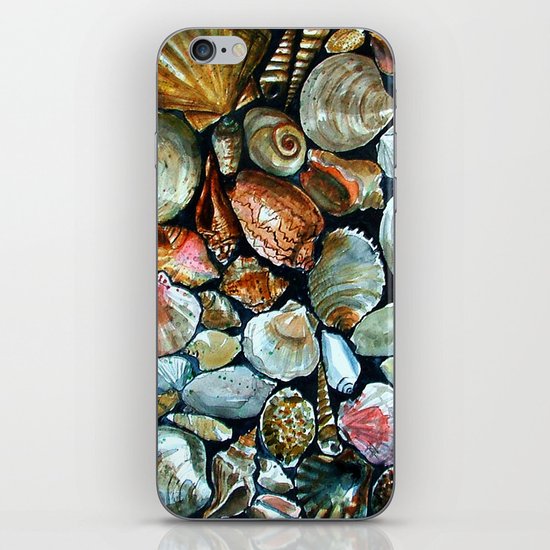 Sea shells iPhone & iPod Skin