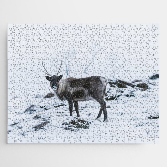 Arctic Beauty  Jigsaw Puzzle