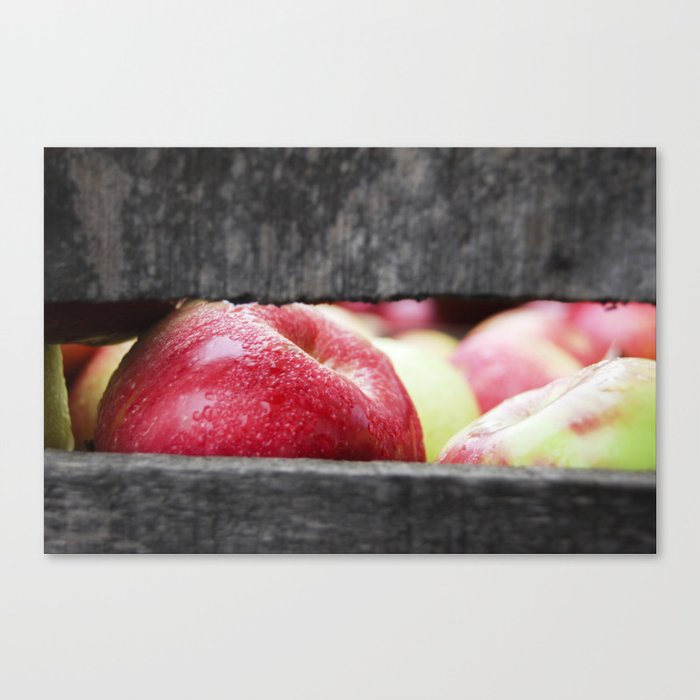 Fall Time Apples Canvas Print