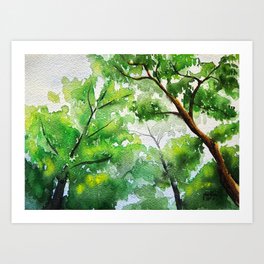 Trees in Watercolor Art Print