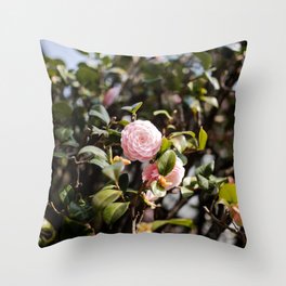 House Chrysanthemum Throw Pillow