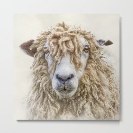 Longwool Sheep Metal Print | Animal, Domestic, Farmanimal, Totebags, Protrait, Nature, Wallart, Wool, Lamb, Ewe 