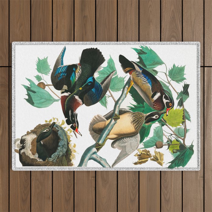  Wood Duck by John James Audubon Outdoor Rug