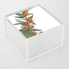 Blooming Spring Acrylic Box