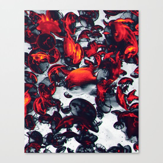 Jelly Canvas Print