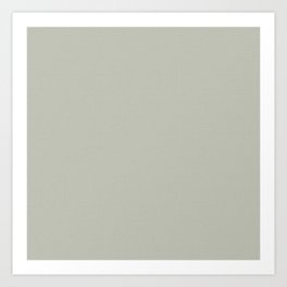 Light Sage Green Art Print