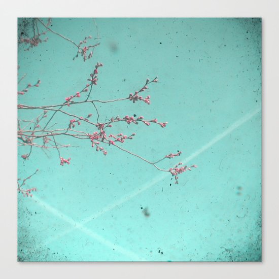 A Kiss in the Sky Canvas Print