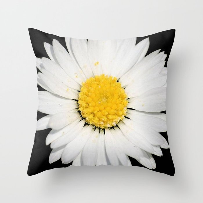 Top View Of A White Common Daisy Isolated Throw Pillow