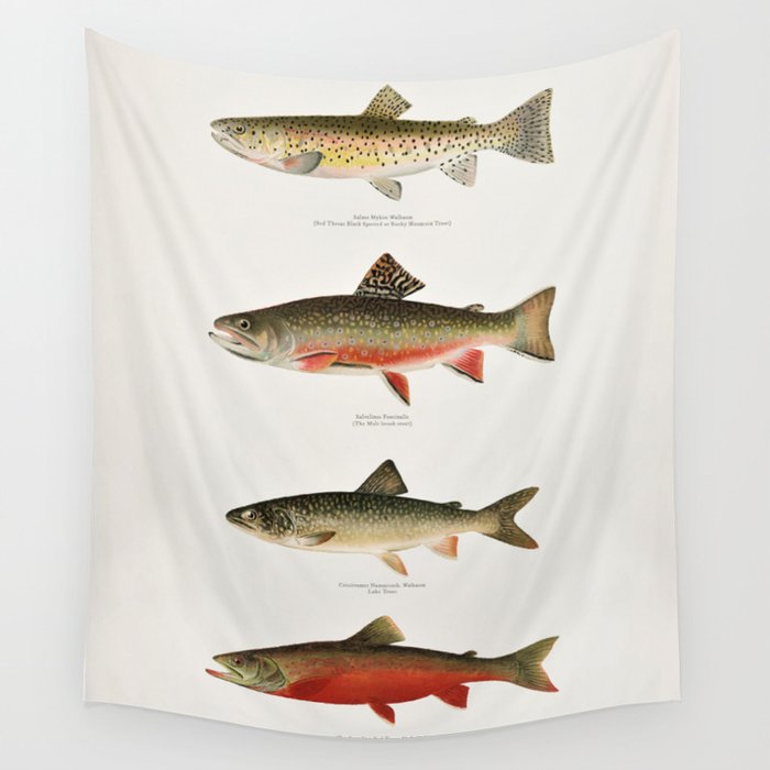 Illustrated North American Freshwater Trout Game Fish Identification Chart Wall Tapestry