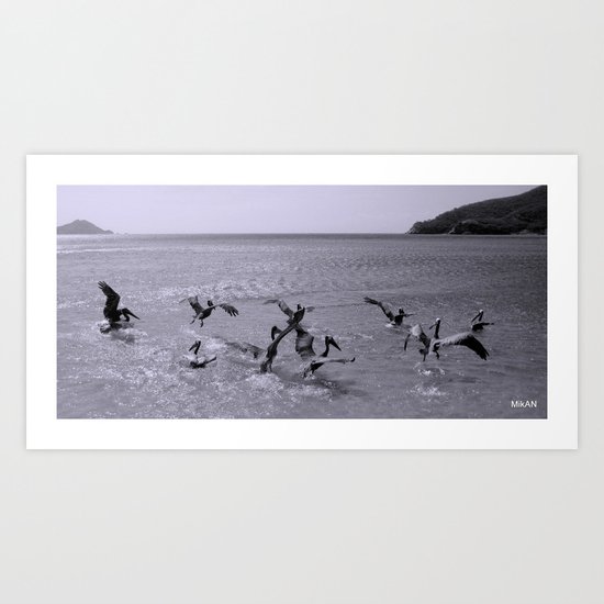 Birds in Santa Marta Art Print