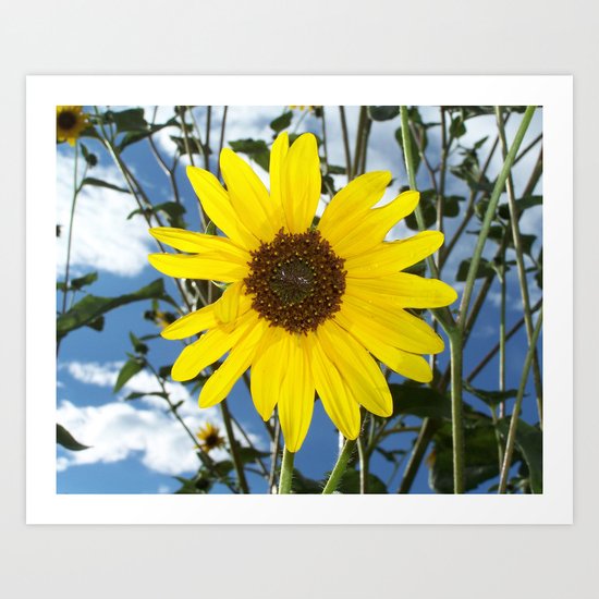 Sunflower Art Print