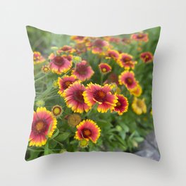 blanket flowers - digital paint edit of photo Throw Pillow