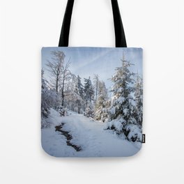 Owl Mountains in winter Tote Bag