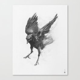 Common Crow [2] Canvas Print
