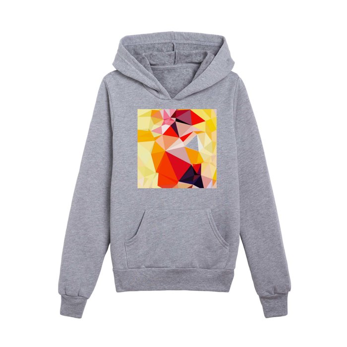 Abstract geo on sale print hooded sweatshirt