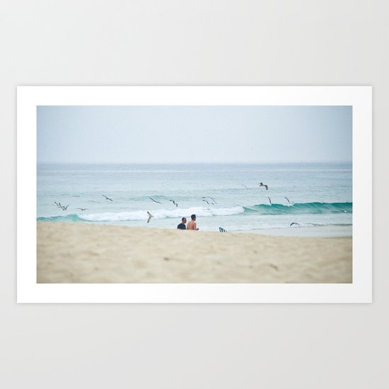 Seagulls & seashore Art Print