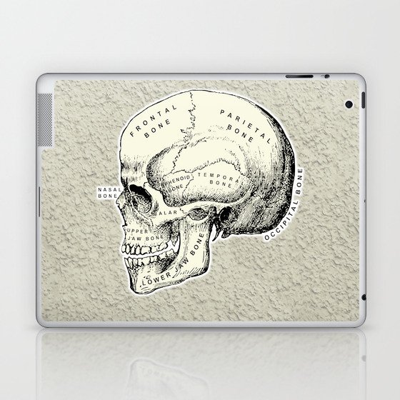 Old School Human Skull with Bones Names. Laptop & iPad Skin