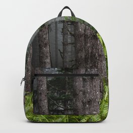 Pacfic Northwest Mountain Forest IV - 109/365 Landscape Photography Backpack