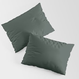 Dark Gray Solid Color Pairs Pantone Sycamore 19-5917 TCX Shades of Blue-green Hues Pillow Sham