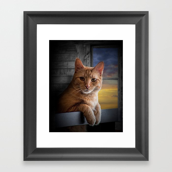 You looking at me, says the Cat Framed Art Print