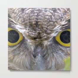 Watercolor Bird, Great Horned Owl 45, Estes Park, Colorado Metal Print