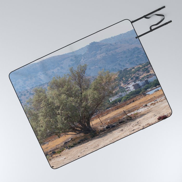 Ancient Juniper Tree Landscape in Crete Picnic Blanket