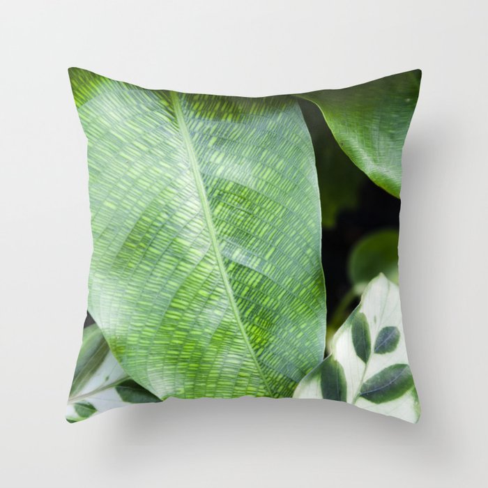 Calathea Musaica Lancifolia The Houseplant Collection Throw Pillow By Christianalois Society6