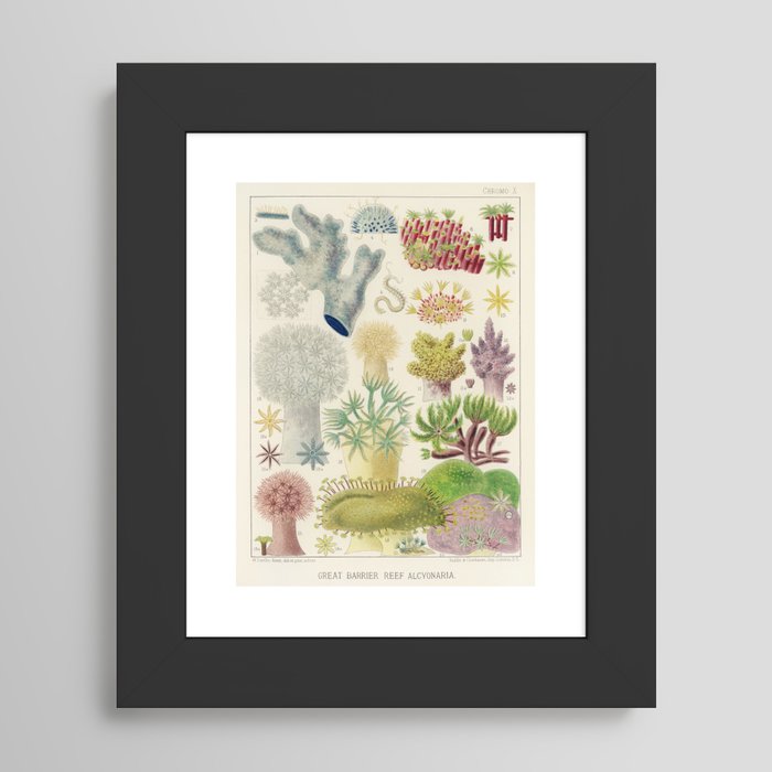 Framed Art Print