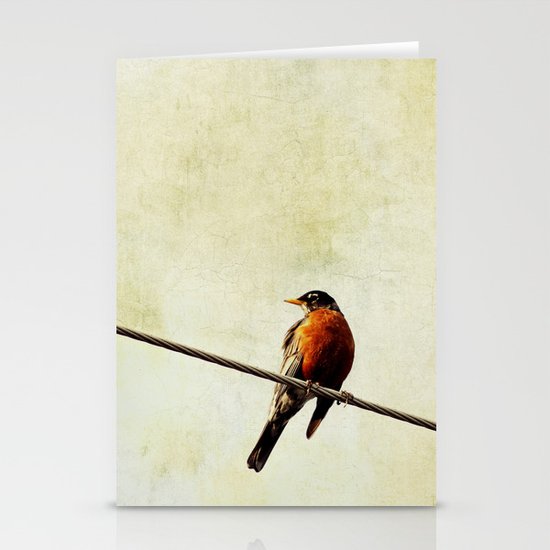 Robin Stationery Cards