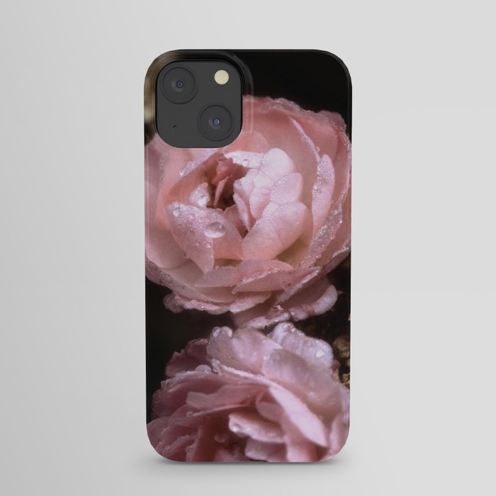 Rose Garden XX iPhone Case