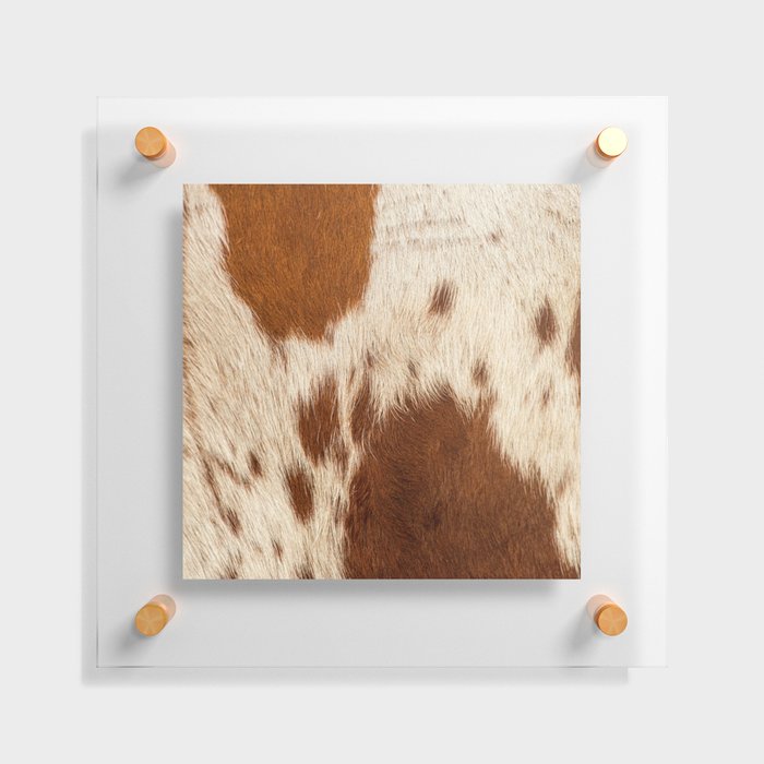 Brown Cowhide, Cow Skin Print Pattern Modern Cowhide Faux Leather Floating Acrylic Print