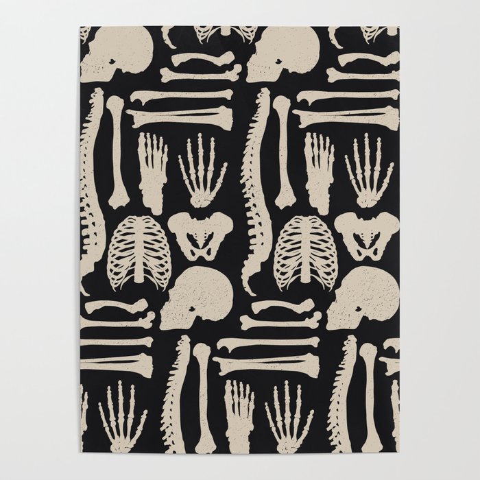 Osteology Poster