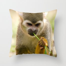 Brazil Photography - Monkey Eating A Grass Straw Throw Pillow