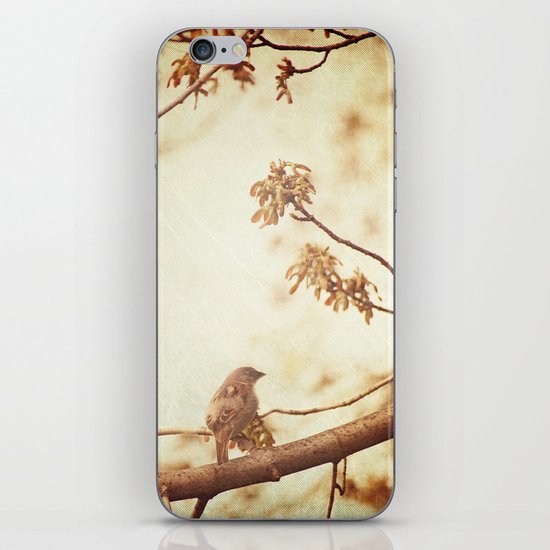 Morning Song iPhone & iPod Skin