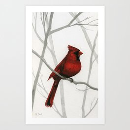 What a Card -- Cardinal in forest Art Print